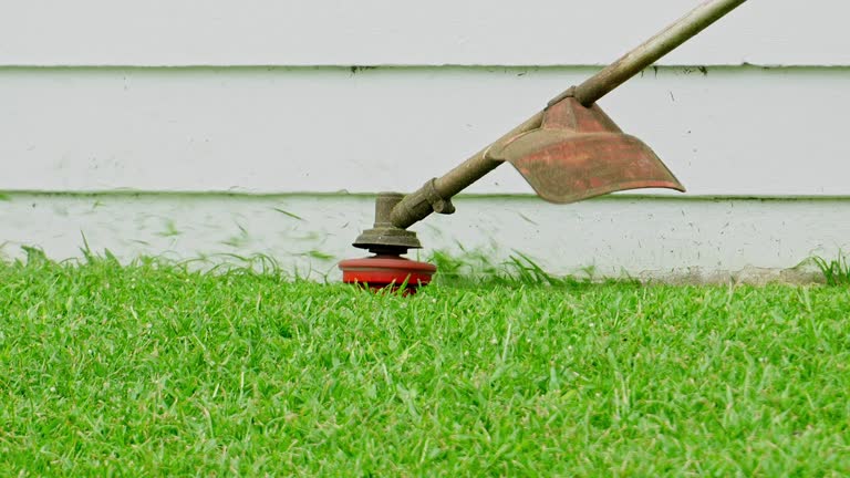 Lawn Maintenance Plans in Harleigh, PA